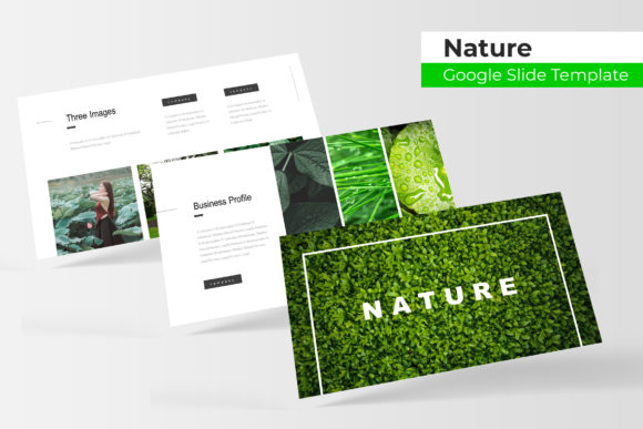 Bring Your Ideas to Life with a Nature-Inspired Google Slides Template